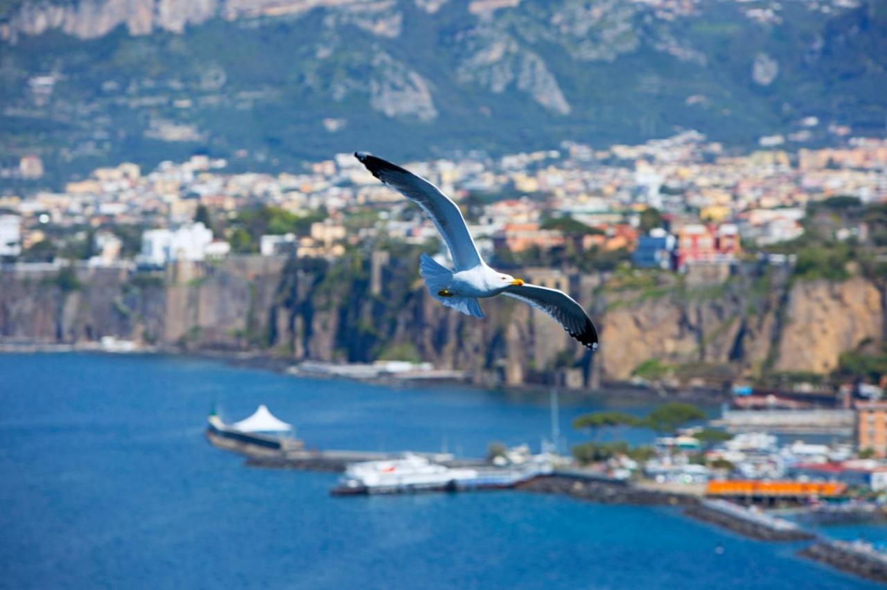 Hotel Belair Sorrento Esterno foto